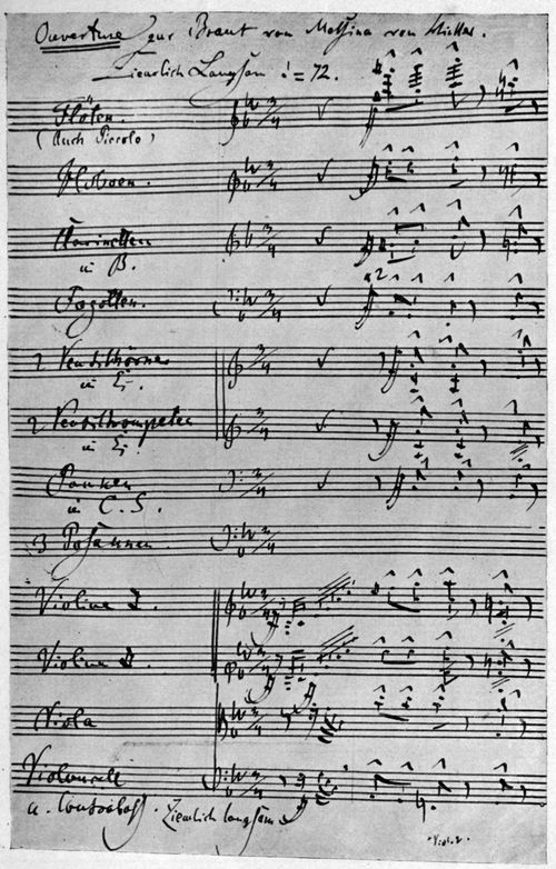 Handschrift Robert Schumanns.⋼Im Besitz der Gesellschaft der Musikfreunde in Wien.(S. 91)
