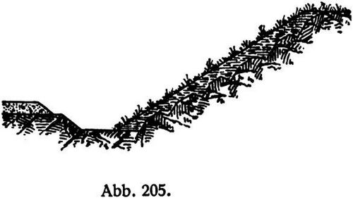 Abb. 205.