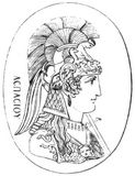 Fig. 222: Minerva