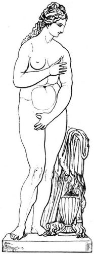 Fig. 293: Venus